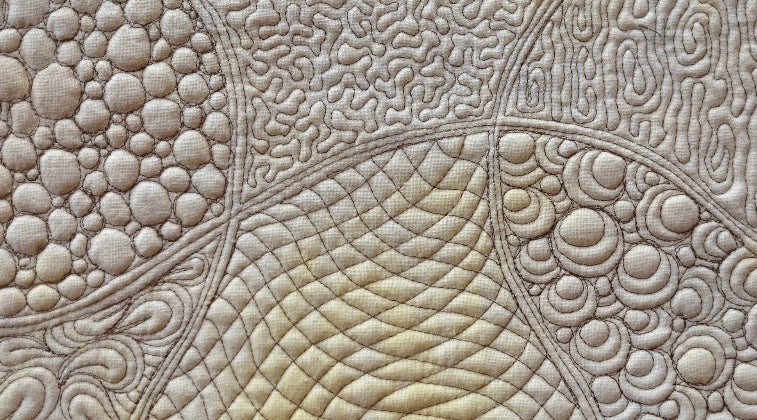 Artex Stipple Pattern Free Motion Stipple Designs with Sharon Schamber - On Demand Class ...