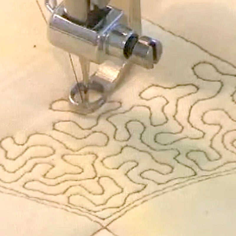 Random Stipple Machine Free Motion Stipple Designs with Sharon Schamber - On Demand Class ...