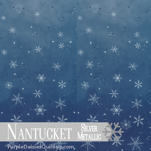 Nantucket - Ombre Flurries - Half Yard - 10874-321MS