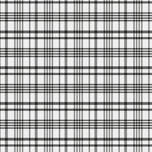 Happy Plaid Coal by Maureen Cracknell from Art Gallery Fabrics