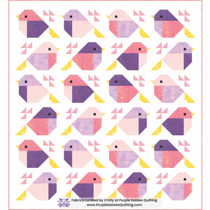 Sparrows Quilt by Pen + Paper Patterns quilt kit fabric bundle