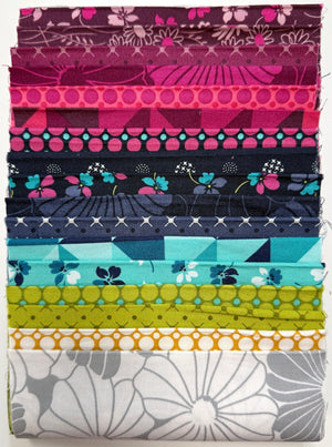 V & Co. Color Crush • 6" Strip Bundle • 17 Prints