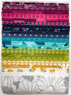 V & Co. Color Crush • 6" Strip Bundle • 21 Prints