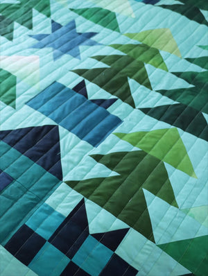 Ombre Winter Cabin pattern by V and Co. with Mystic Ombre up close