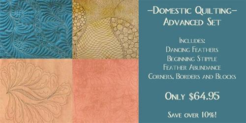 Advanced Domestic Free Motion Quilting Set