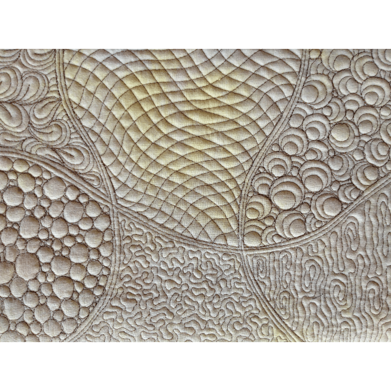 Beginning Domestic Free Motion Stipple Set