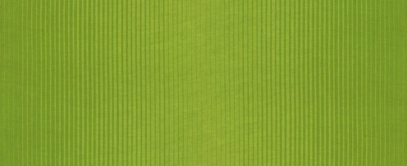 Lime Green - Ombre Wovens - Half Yard - 10872-18